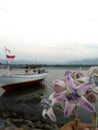 the boat still waiting to accross the sea Royalty Free Stock Photo