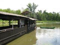 Boat in the swamp