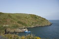 Boat taking visitors to the Island of Skomer Royalty Free Stock Photo