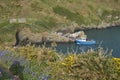 Boat taking visitors to the Island of Skomer Royalty Free Stock Photo