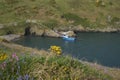 Boat taking visitors to the Island of Skomer Royalty Free Stock Photo