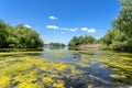 Boat tour on Danube delta Royalty Free Stock Photo