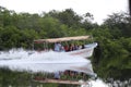 a boat tour, likely on the New River in Belize Royalty Free Stock Photo