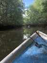 Boat tour through the mangrove Royalty Free Stock Photo