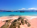 A beautiful Pink Beach and blue clear water from Komodo Island Komodo National Park, Labuan Bajo, Flores, Indonesia