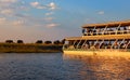 Boat of tourists on the Chobe River Royalty Free Stock Photo