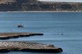 Boat with tourists watching South Right Whales at the Valdes Peninsula