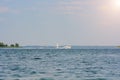 The boat tows a male waterskiing. Royalty Free Stock Photo