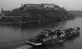 A boat travels down the Danube and past Novi Sad - SERBIA - NOVI SAD