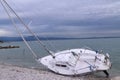 Boat with tree beached adrift due to natural unforeseen events