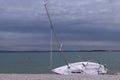 Boat with tree beached adrift due to natural unforeseen events