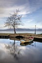 Boat and Tree at Kastoria lake