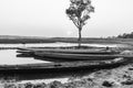 Boat tree and river