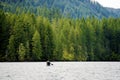 Boat trip along the picturesque mountain lake Merwin with forest Royalty Free Stock Photo
