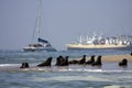 Boat Trip around Walvis Bay Royalty Free Stock Photo