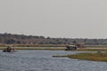 Boat trip in chobe river during sunset in botswana in africa. Royalty Free Stock Photo