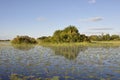 Boat-trip through the Okavango-Delta swamps in the Kalahari-desert. Royalty Free Stock Photo
