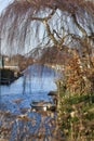 Boat under tree in winter Royalty Free Stock Photo