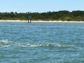 Boat Waves on Charlotte Harbour Florida Royalty Free Stock Photo