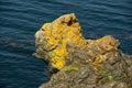 Golden rock on Grand Manan Island