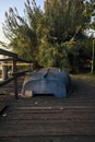 Boat on a wooden pier by the lakeshore next to reeds at sunset