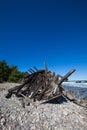 The Boat Wreck Royalty Free Stock Photo