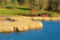 Boathouse and reed