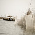 Boating in Africa Royalty Free Stock Photo