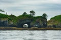 Natural formations in the Sitka Sound, Alaska. Royalty Free Stock Photo