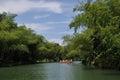 Boating in bamboo forest and lake Royalty Free Stock Photo