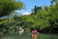 Boating in bamboo forest Royalty Free Stock Photo