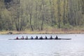 Sculling in Burnaby Lake