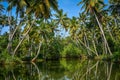 Poovar Lake, Kerala, India Royalty Free Stock Photo