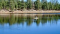 Boating and fishing at Woods Canyon Lake Arizona Royalty Free Stock Photo