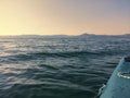 Boating in kayak at sunset on Bracciano lake at with encounter of cormorant fishing in water Royalty Free Stock Photo