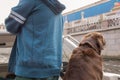 Dog owner and brown Labrador looking at the scenic autumn beauty from boat Royalty Free Stock Photo