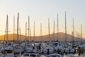 Boats in Alghero