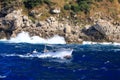 Boats of all sizes moored near the coastline of the island of Capri, Italy