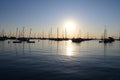 Boats anchored in Lake Michigan, Chicago, Illinois. Royalty Free Stock Photo