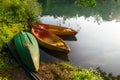 Boats anchored to the shore of a lake in India