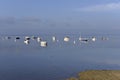 Boats at Andernos-les-bains in France Royalty Free Stock Photo