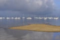 Boats at Andernos-les-bains in France Royalty Free Stock Photo