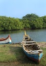 Boats on the backwater small harbor with mangrove trees.