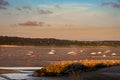 Boats in the Baie the Canche at low tide, France