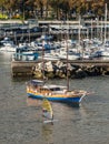 Boats in the bay of Funchal, Madeira Island, Portugal