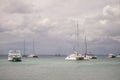 Boats in Bayahibe in Dominican Republic
