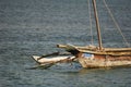 Boats, beach, blue sky, Zanzibar Royalty Free Stock Photo