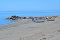 Boats on the beach