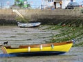 Boats and a black cat at low tide in Bullock Harbour