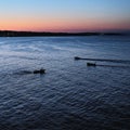 Boats in the Blacksea..